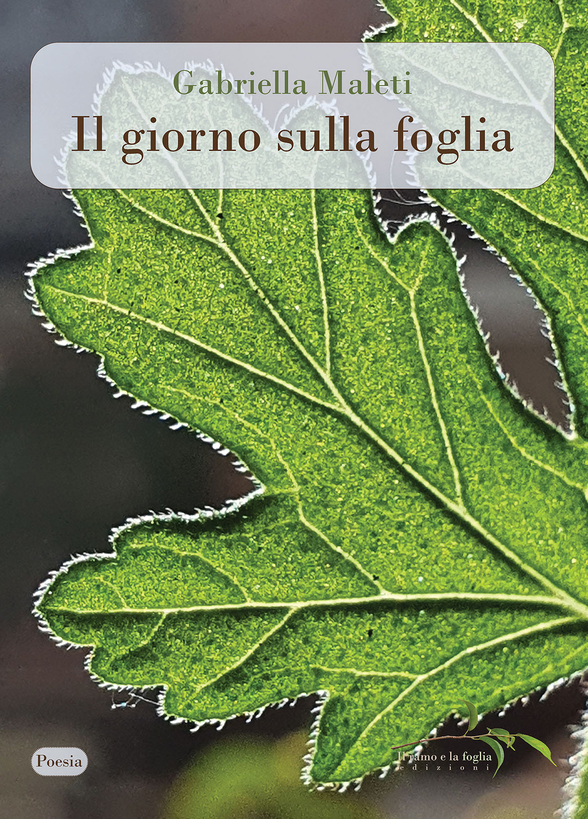 Copertina: fotografia di Roberto Maggiani