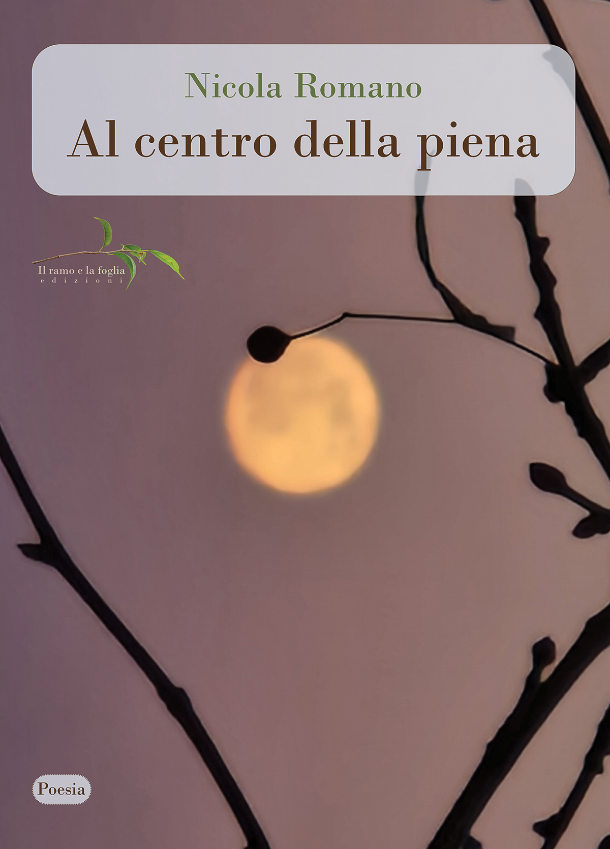 Copertina: fotografia di Roberto Maggiani