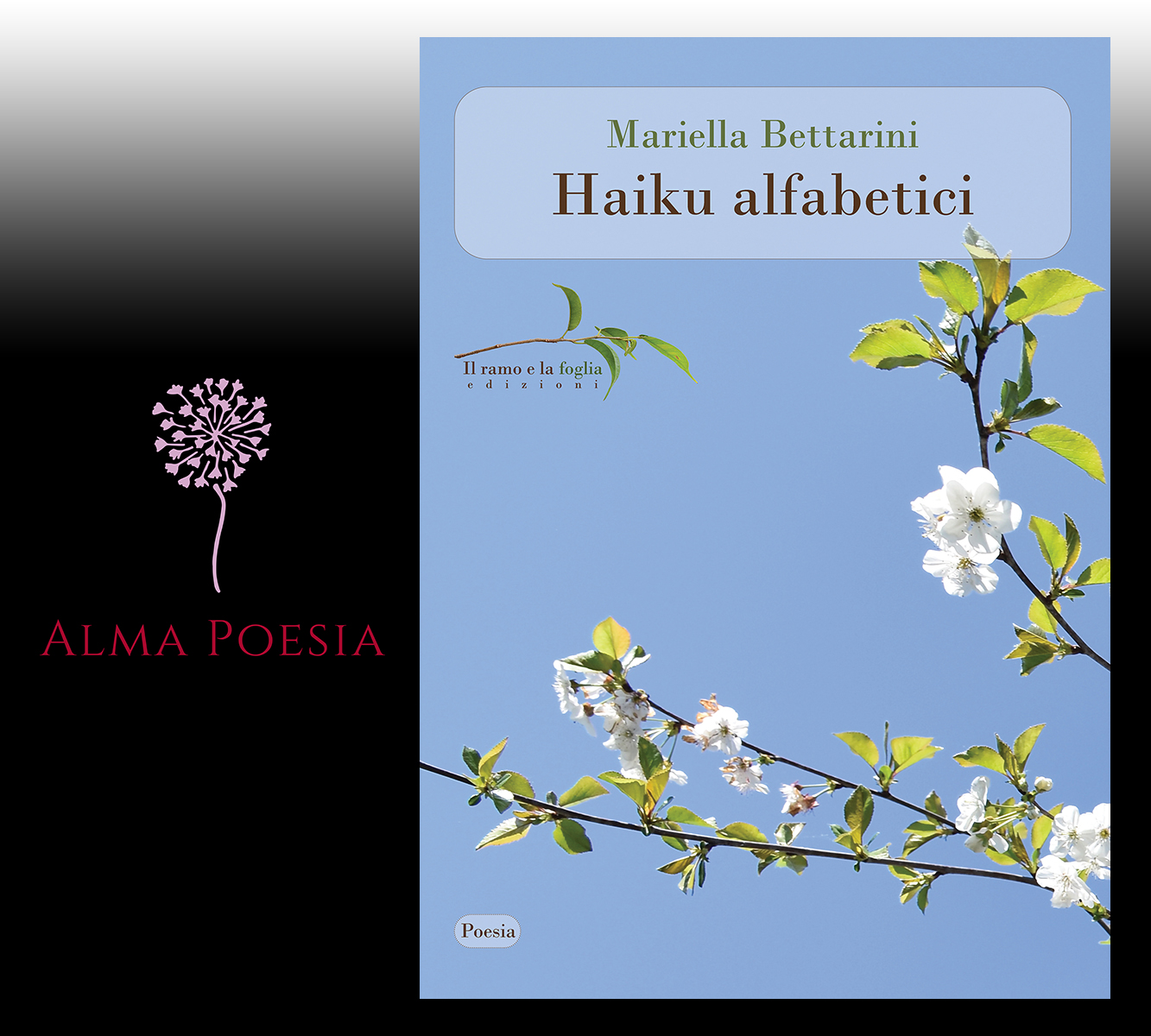 Logo di Alma Poesia e copertina di “Haiku alfabetici”