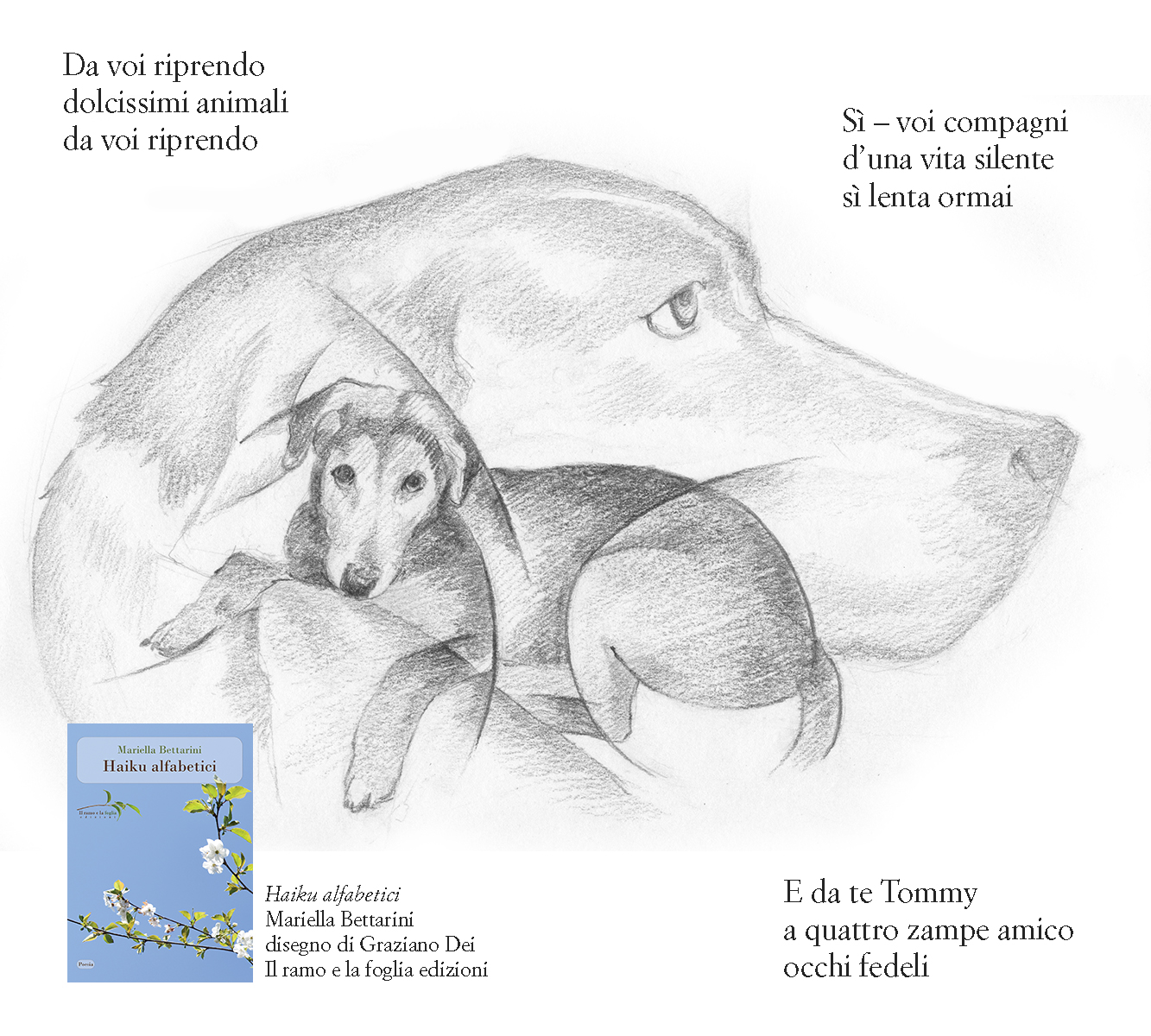 Disegno di Graziano Dei e copertina di “Haiku alfabetici”