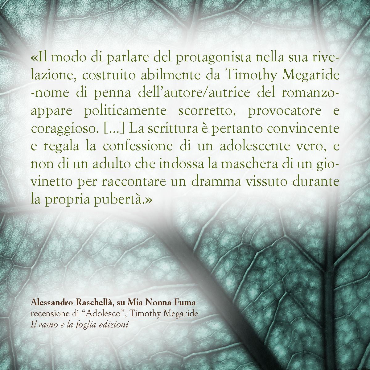 testo tratto dalla recensione di Alessandro Raschellà