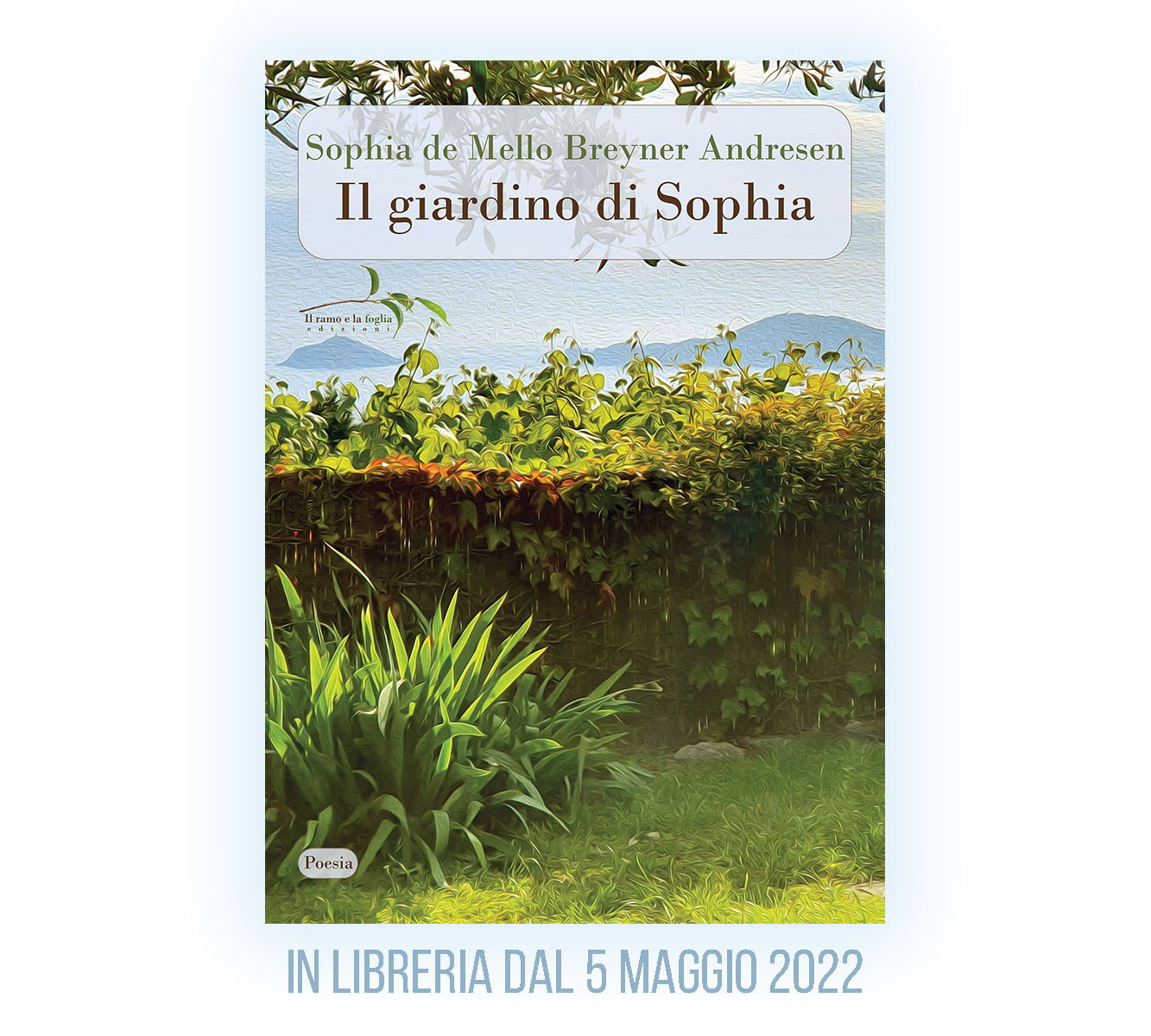 Copertina: fotografia rielaborata come dipinto olio su tela