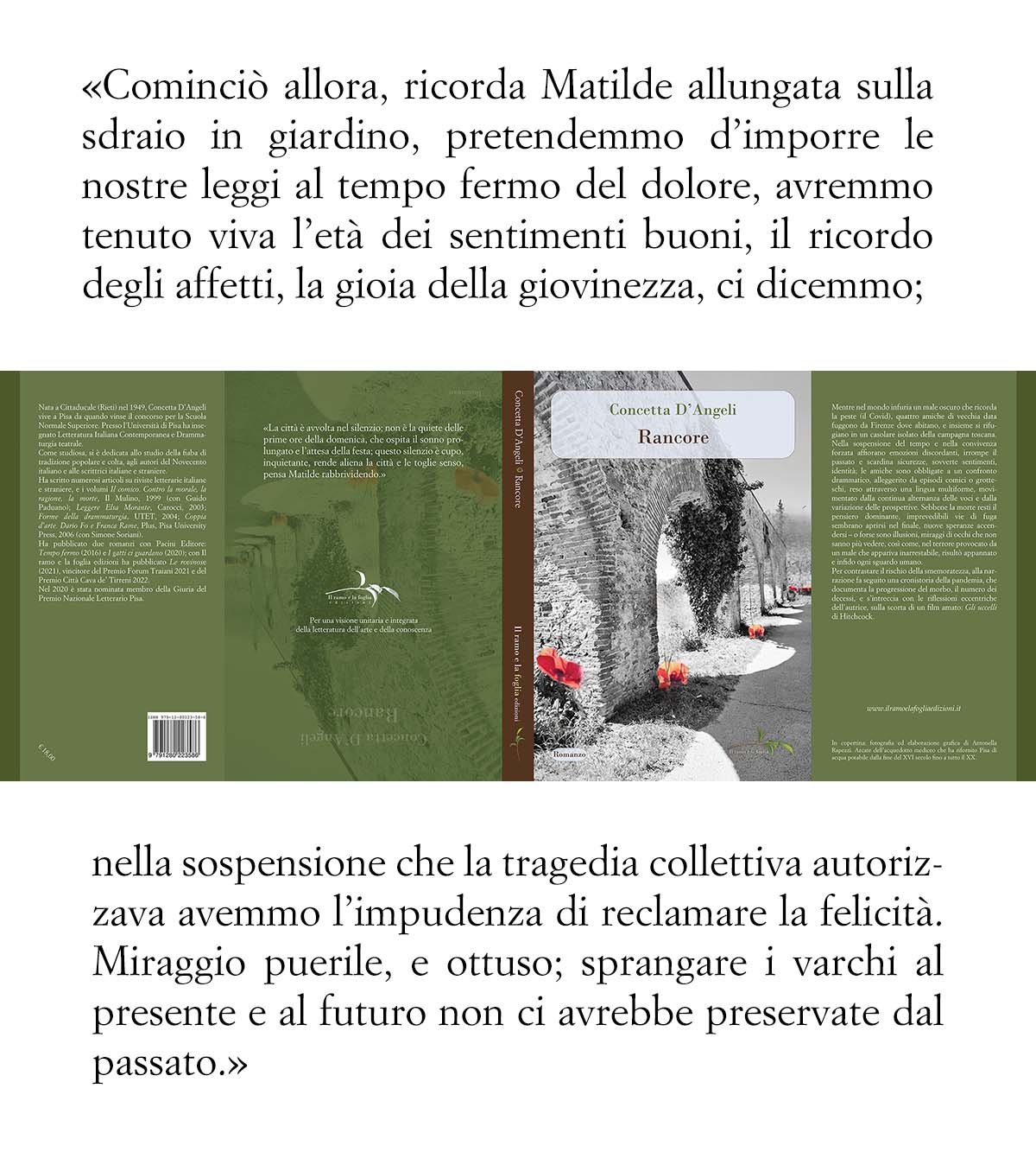 Copertina: fotografia ed elaborazione grafica di Antonella Rapezzi. Arcate dell’acquedotto mediceo che ha rifornito Pisa di acqua potabile dalla fine del XVI secolo fino a tutto il XX.