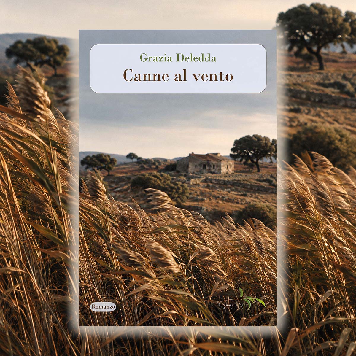 Copertina: elaborazione grafica di Roberto Maggiani